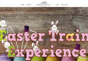 EasterTrainExperience.ie