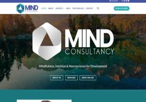 MindConsultancy.ie